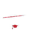 Phd Survivor Degree Uni Geschnenk
