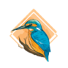Kingfisher blue bird