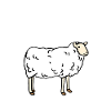Schaf Schafe Bauer Geschenk