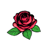 rose