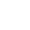 Eidechse / Lizard