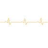 Bier oder kein Bier