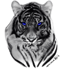 White Tiger