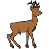 Deer - Animal - Deer