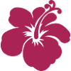 hibiscus flower