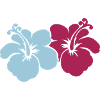 hibiscus flowers