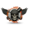 Motorcycle skull skull fire