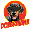 Doberman Pinscher