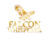 Falke Vogel Raubvogel Falknerei Falkenflüsterer