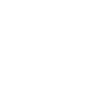 poodle