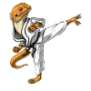 Bartdrachen Karate
