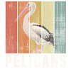 Pelicans retro