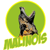 Malinois