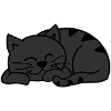 Sleeping cat in red