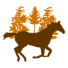 horse