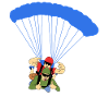 Skydiver Adrenaline Jump Skydiver