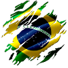 Brésil Drapeau Brésilien Look Used