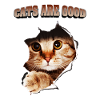 Cats are good