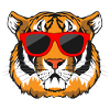 Tiger head tiger big cat