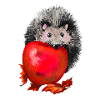 Hedgehog with apple