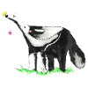 Ant-eater
