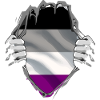 ASEXUAL - Pride Flag