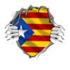 Catalonia flag on chest independence