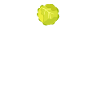 Now We Have The Salad