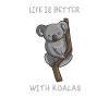 Koala Bear