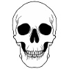 Skeleton face: Halloween