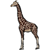 Design with a giraffe 1