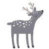 Reindeer Deer