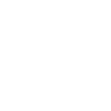 viking compass