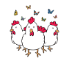 Chicken chickens farm