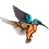 Eisvogel