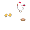 Chicken chickens