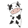 Koe kalf baby koe koeien koe vlekken zoete dieren voor kind