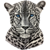 Sne leopard med blå øjne, bæst gave