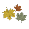 AUTUMN