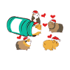 Funny guinea pig Happy Pills pet