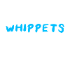 Whippet