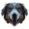 Dog Aussie polygon