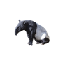 tapir