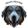 Aussie in polygon design - geometry