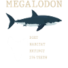 Megalodon, shark, shark species,