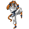 Tiger Karate