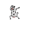 Vache