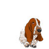 Basset Hound Mom