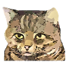 chat