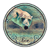 Polar bear underwater